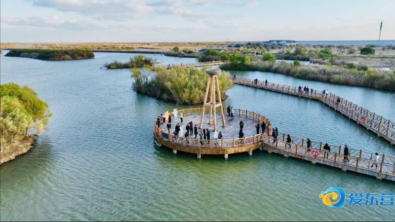 他能力的考 他能力的考